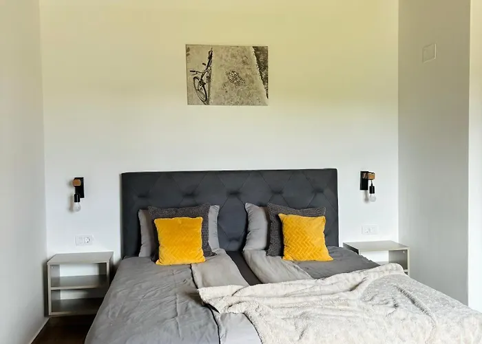 Francesca With Free Bikes And Heated Pool, Buje Villa